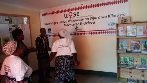 DSW Tanzania: Women and Girls Information Resource Centre Launched!